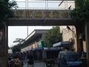 大沥新城南宠物市场